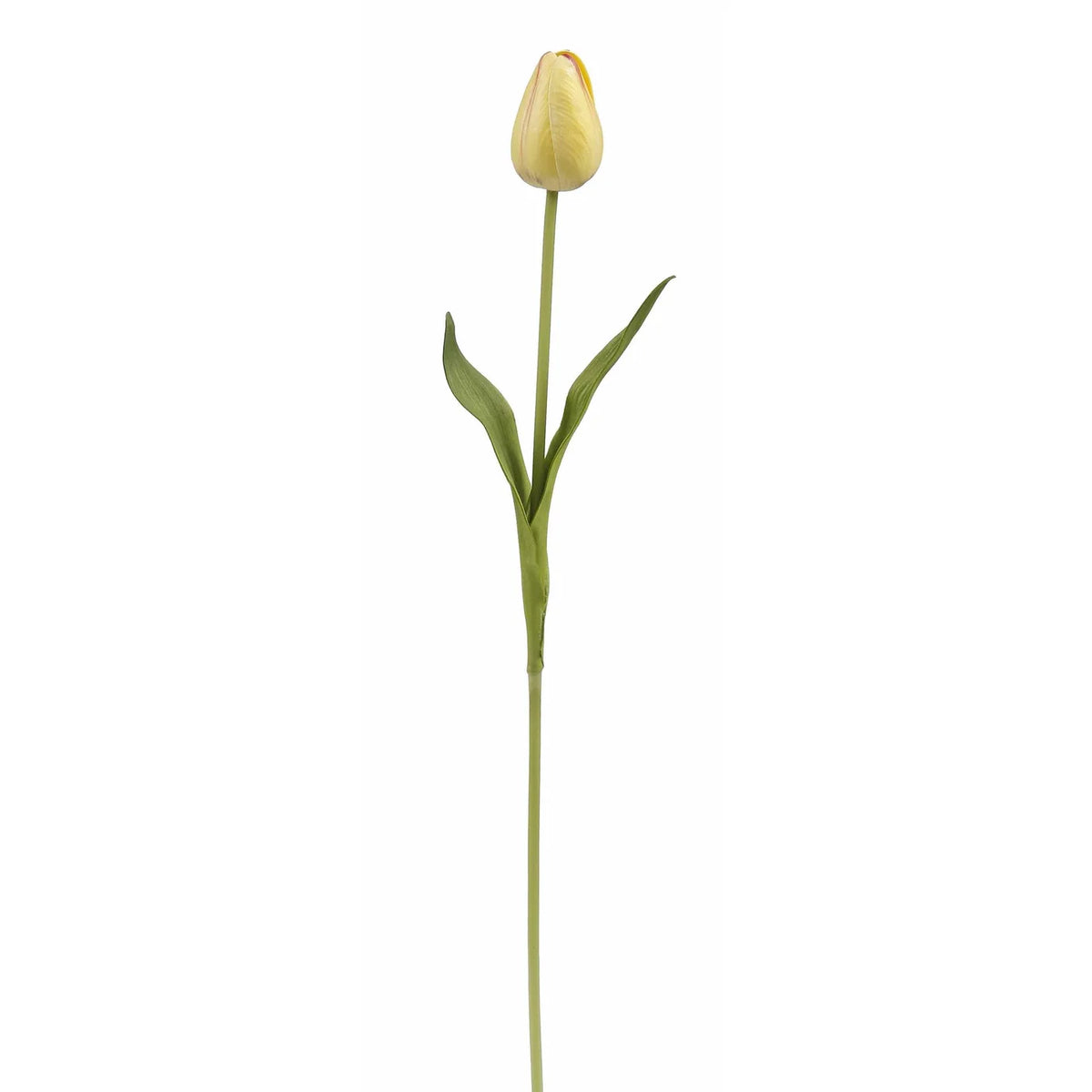 15" Yellow Pointed Tulip