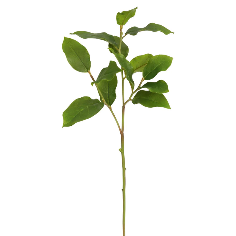 19" Green Salal Leaf