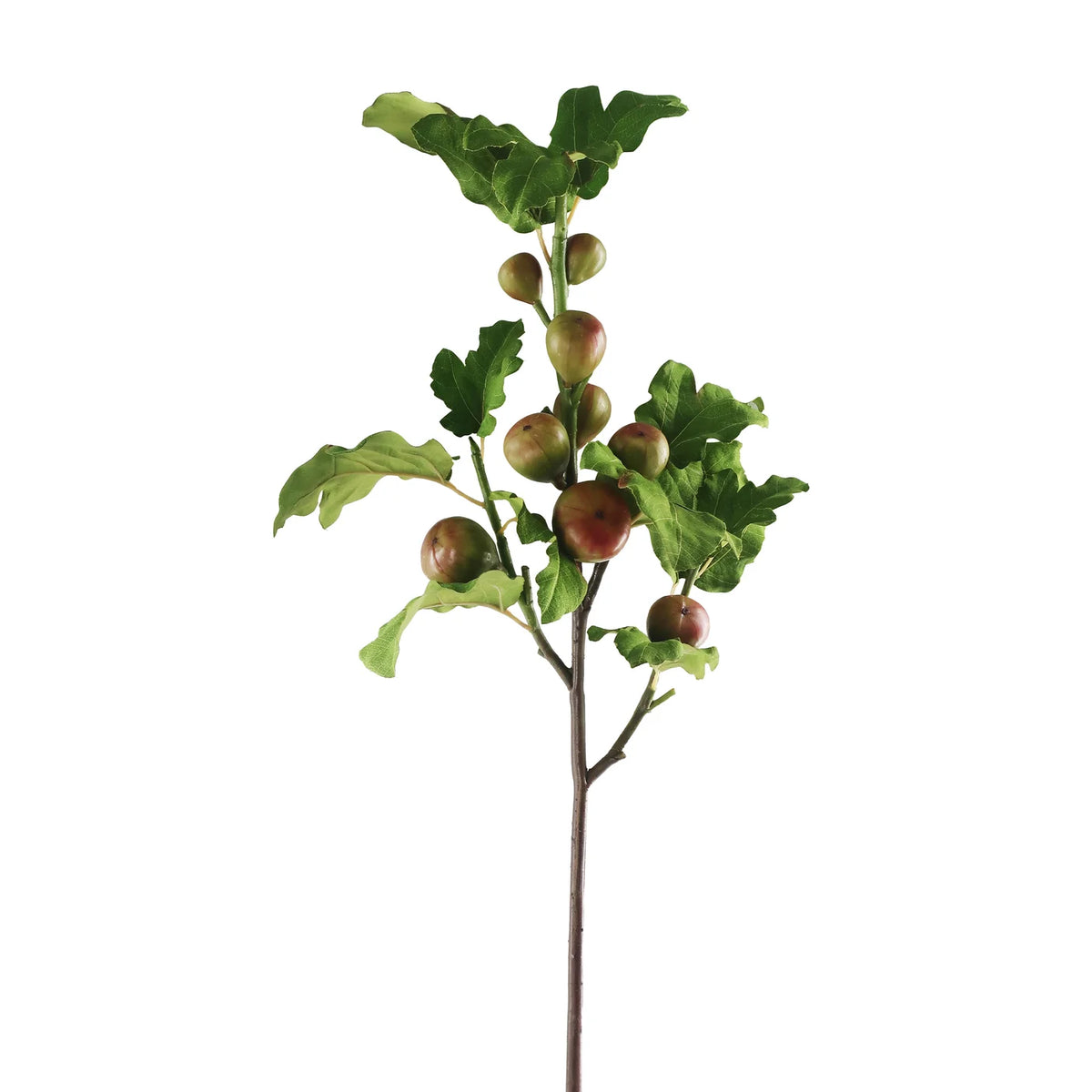 39" Green/Burgundy Fig Branch