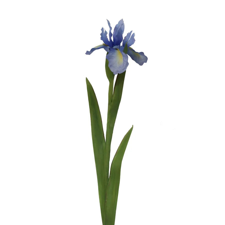 30" Lavender Iris Dutch Flower