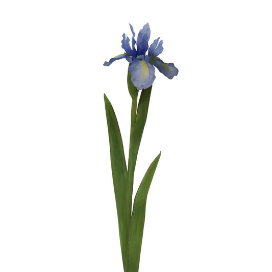 30" Lavender Iris Dutch Flower
