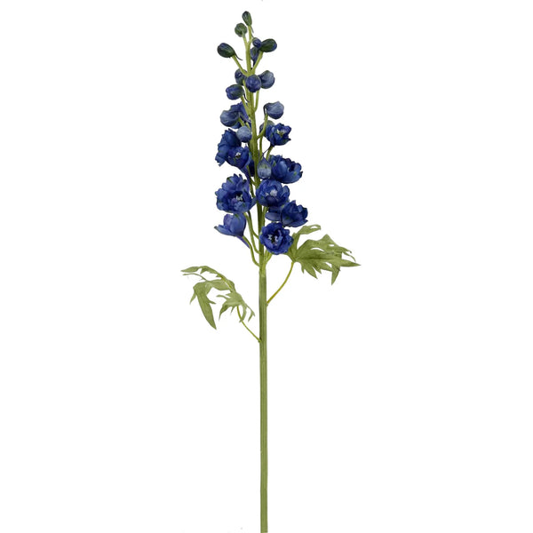 24" Blue Delphinium Bud
