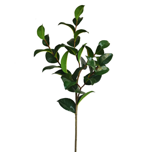 39" Green Camellia Foliage Spray