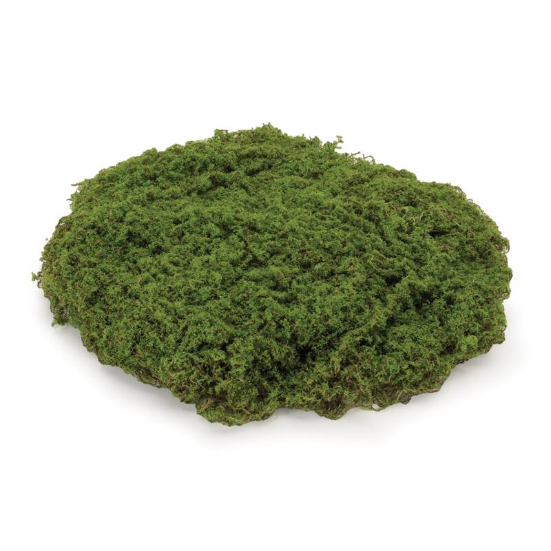 Moss Pad Set of 3