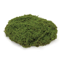 Moss Pad Set of 3
