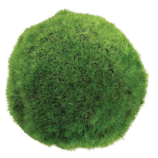 4" Green Moss Ball