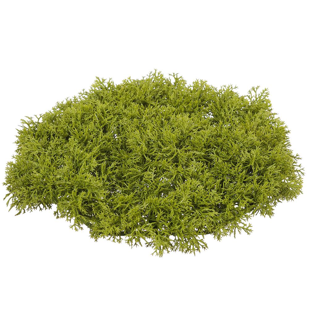 9" Green Mat Moss
