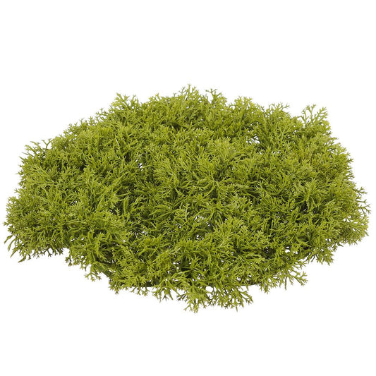9" Green Mat Moss
