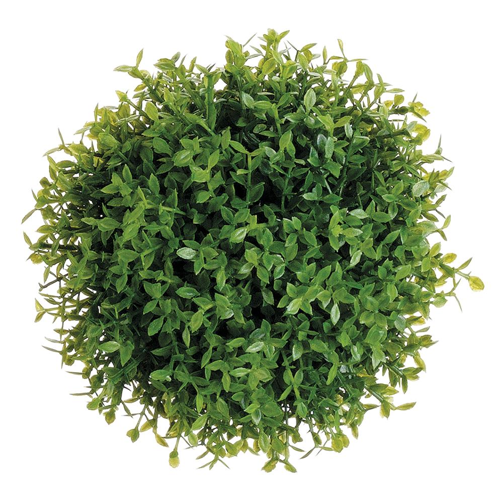 5" Green Tea Leaf Ball