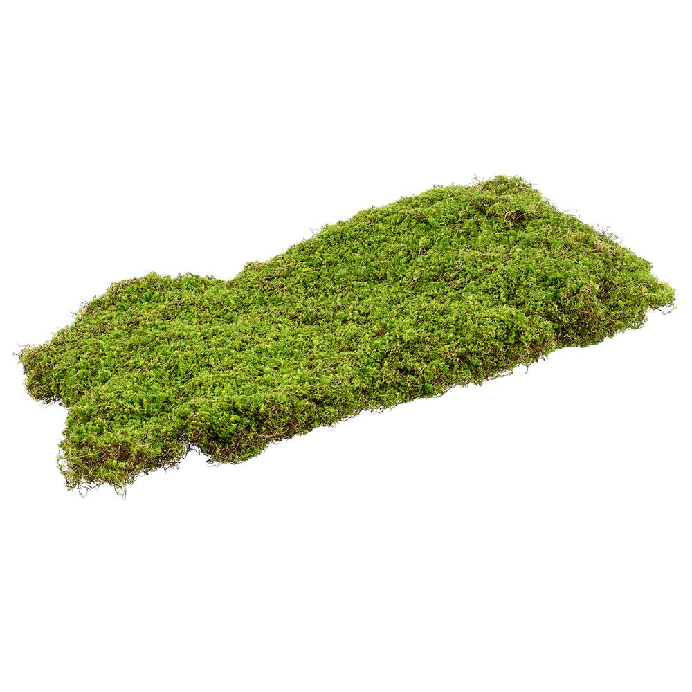 25" Green Moss Sheet