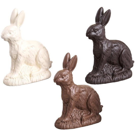 9" Chocolate Bunny, Assorted