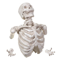 Skeleton Bust with Hands 21"