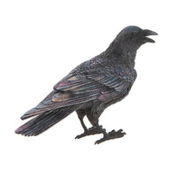 6.5" Black Raven Halloween Decor Assorted