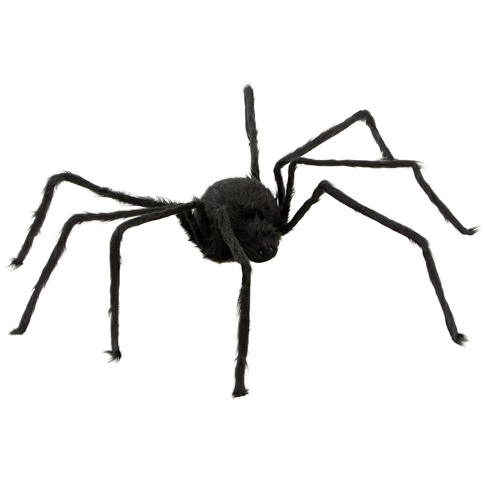 5' Black Spider