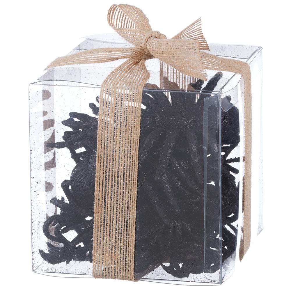 5" Glittered Spider in Black Box