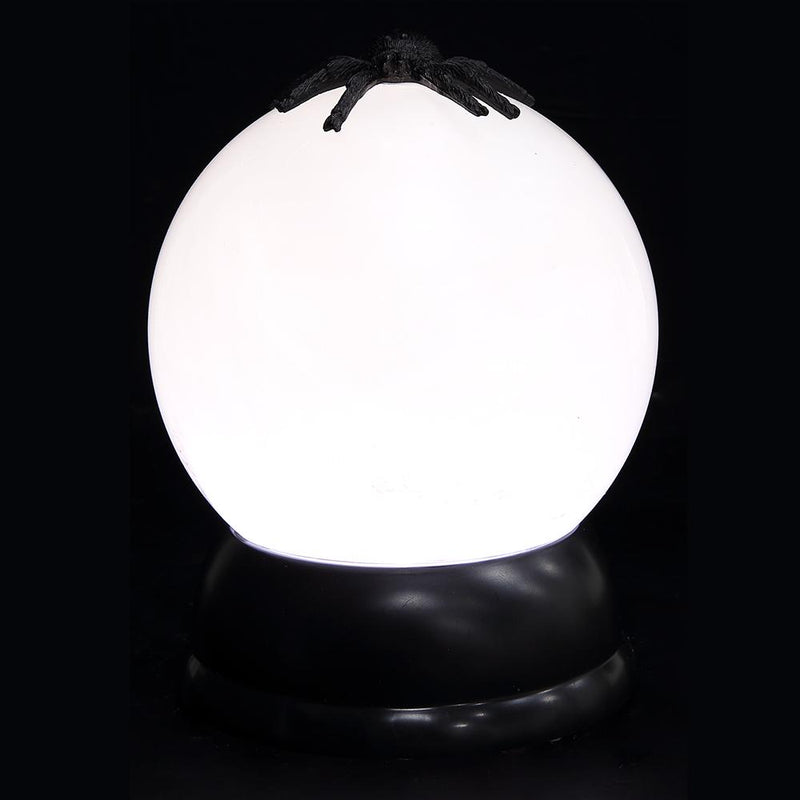 6" Spider Waterglobe with Light