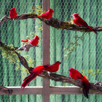 7" Long Tailed Bird With Clip