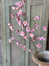 37" Pink| Westfield Blooms Spray