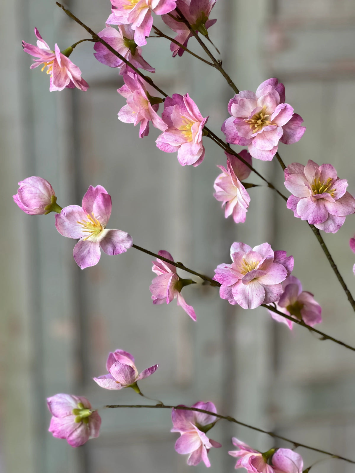 37" Pink| Westfield Blooms Spray