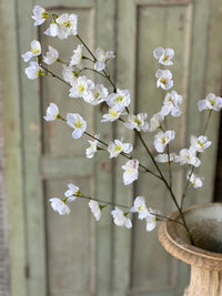 37" White| Westfield Blooms Spray