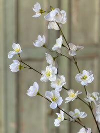 37" White| Westfield Blooms Spray