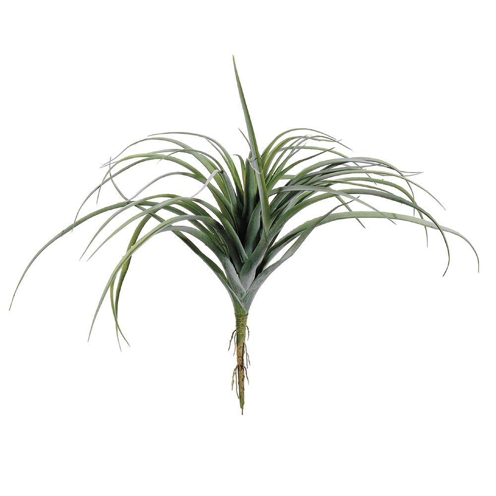 11" Green/Grey Tillandsia