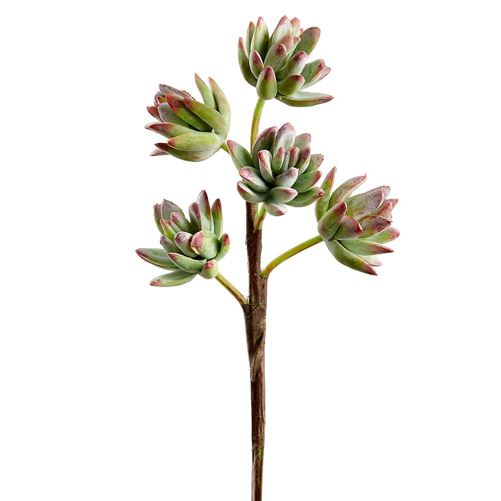 10" Green Pink Sedum Pick