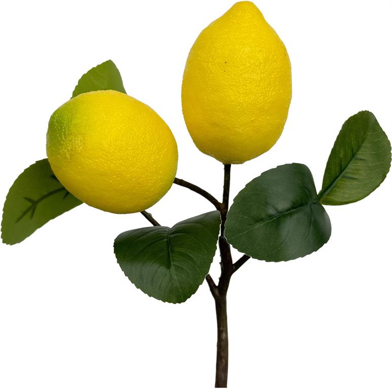 9" Lemon Pick
