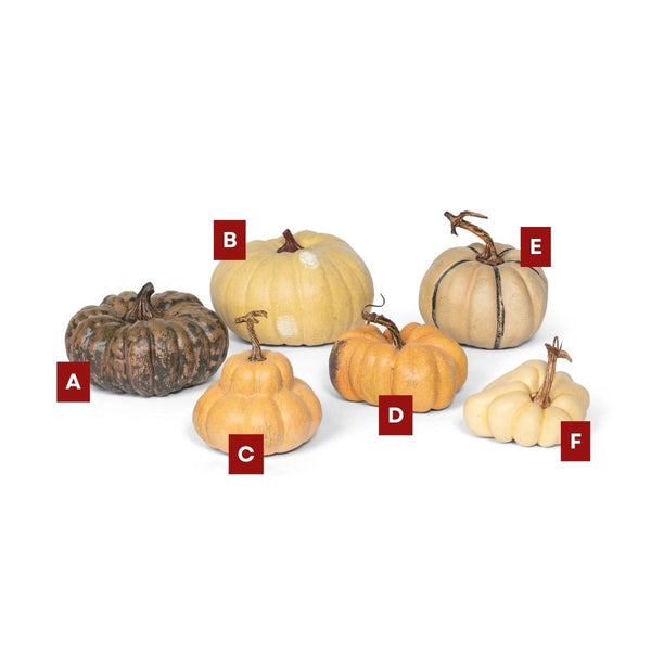 French Pumpkin Assorted