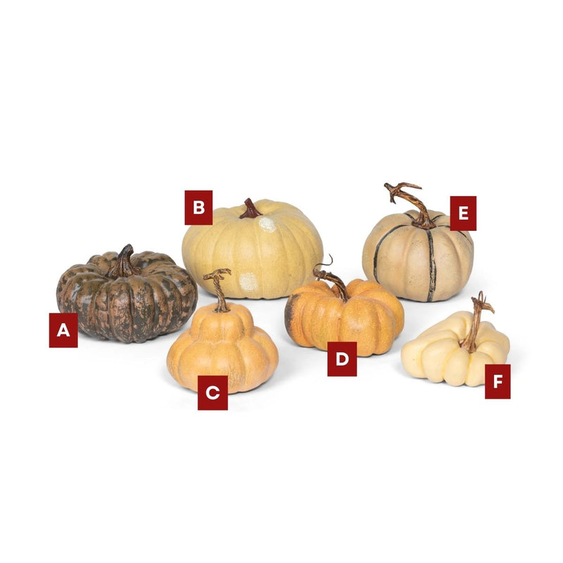 French Pumpkin Assorted