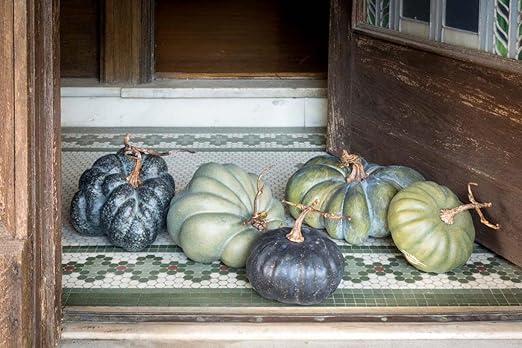 Large Green Heirloom Pumpkin