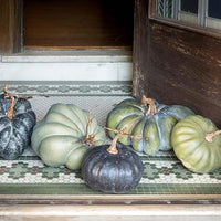 Medium Green Heirloom Pumpkin