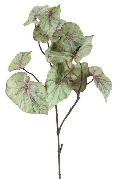 30" Green Begonia Leaf Spray