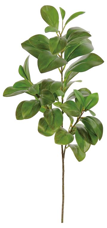 27" Moss Green Watercress Leaf x3 Spray