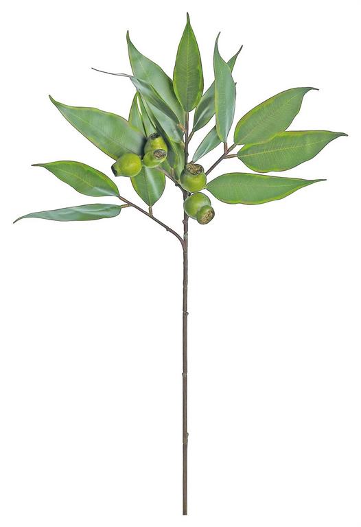 29" Sage Eucalyptus Leaf/Pod Narrow Spray