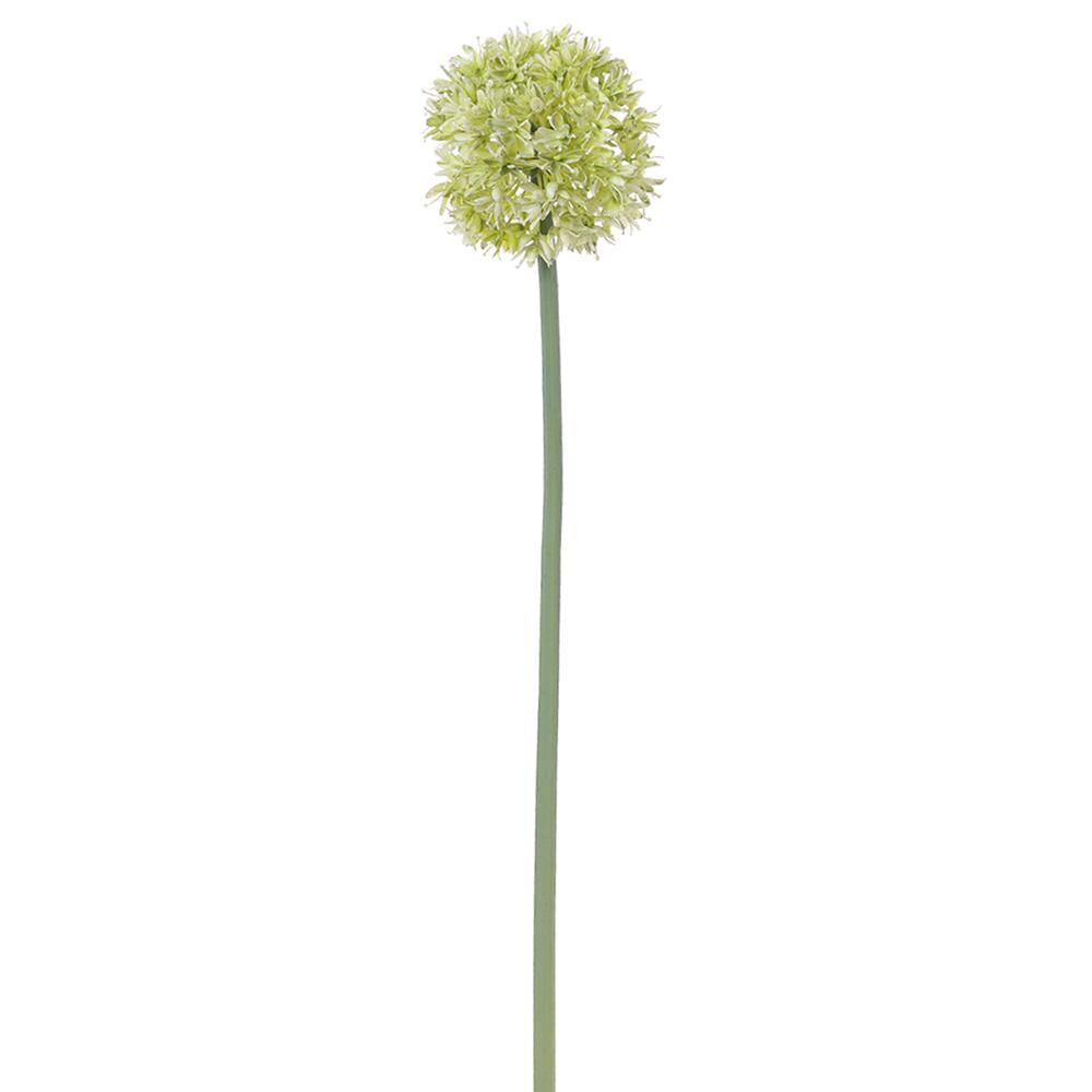 23" Green Allium Spray