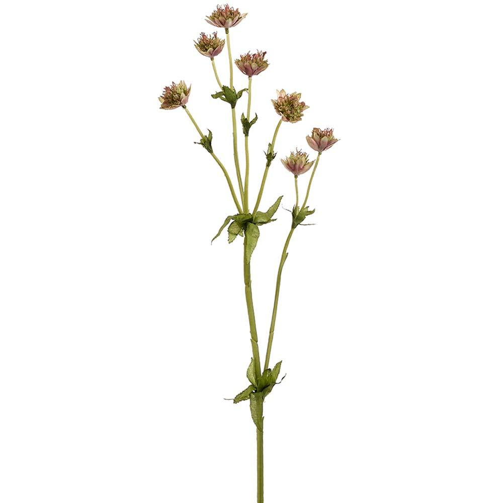 23" Mauve/Green Astrantia Spray