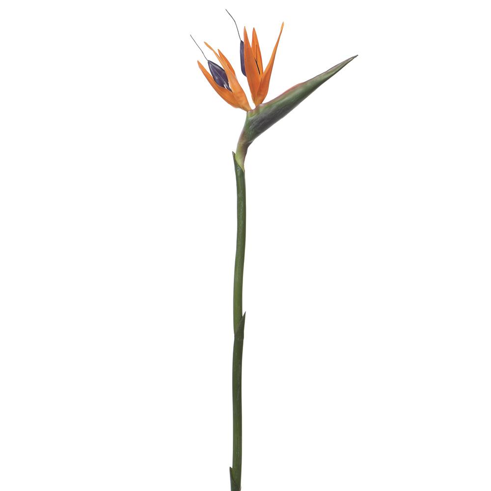 27" Orange Bird of Paradise Spray