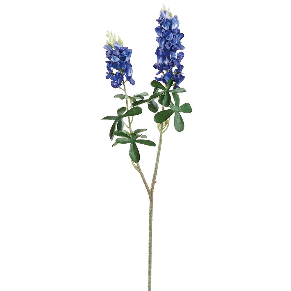 Spray Bluebonnet X2 20" Blue