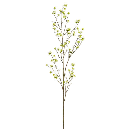 55" Yellow Cornus Spray