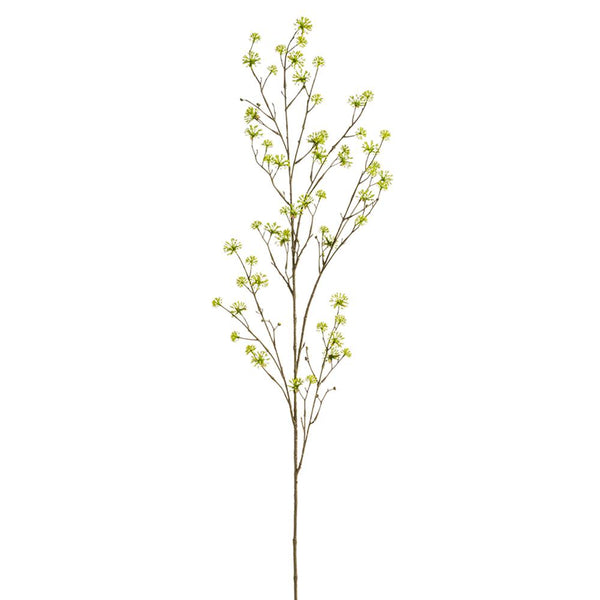 55" Yellow Cornus Spray