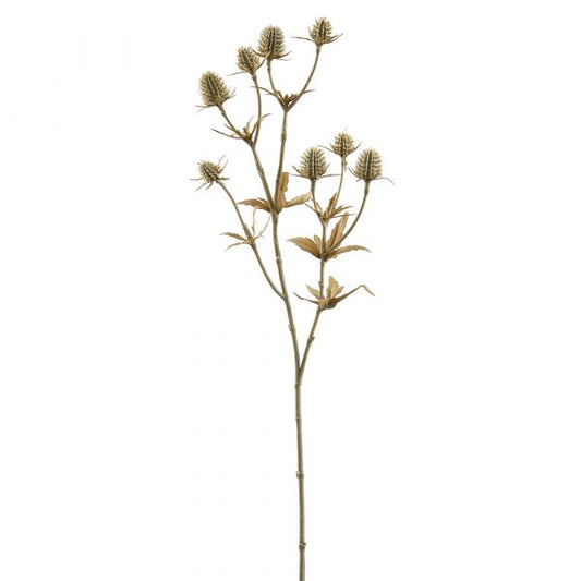 20" Beige Eryngium Spray