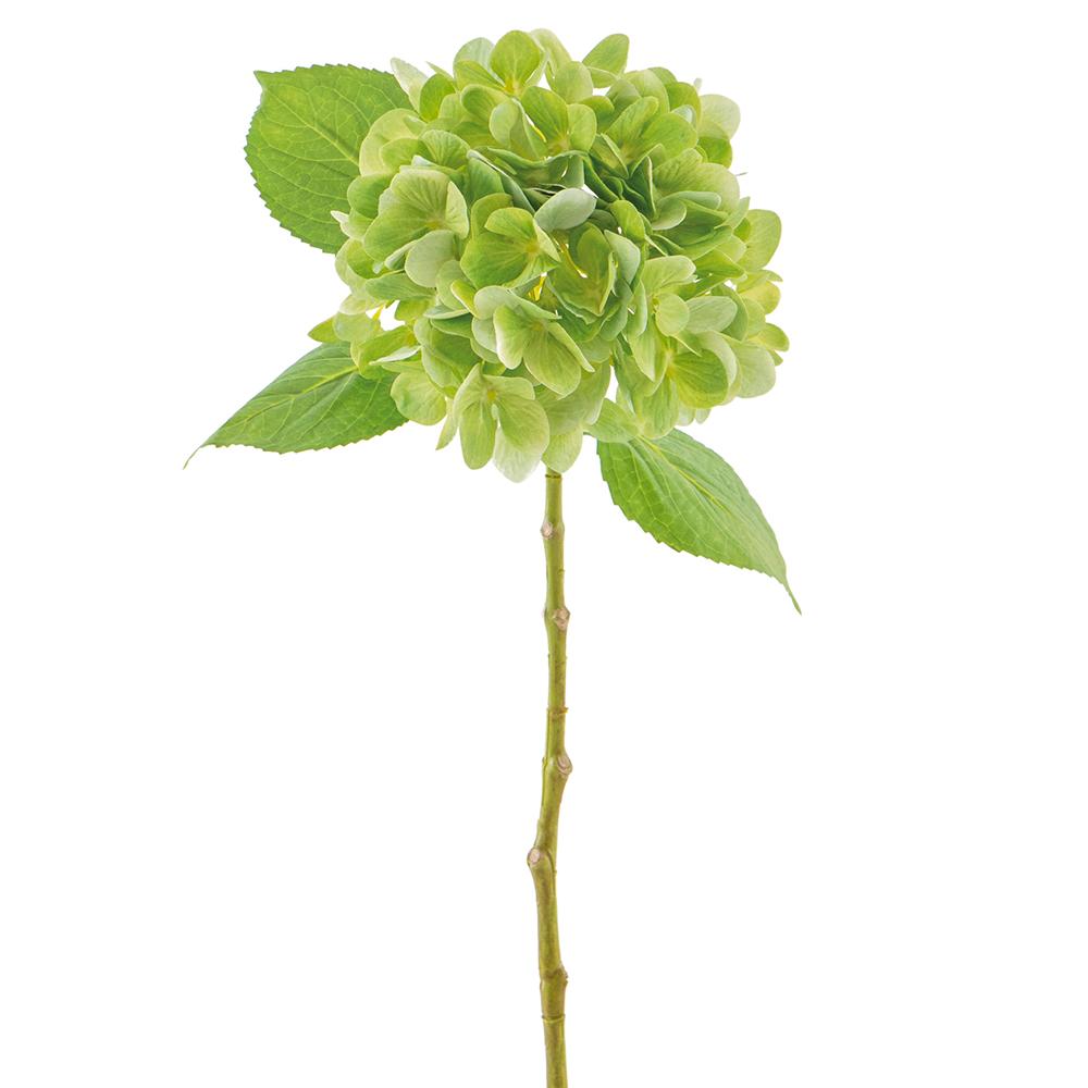 19" Green Hydrangea Spray