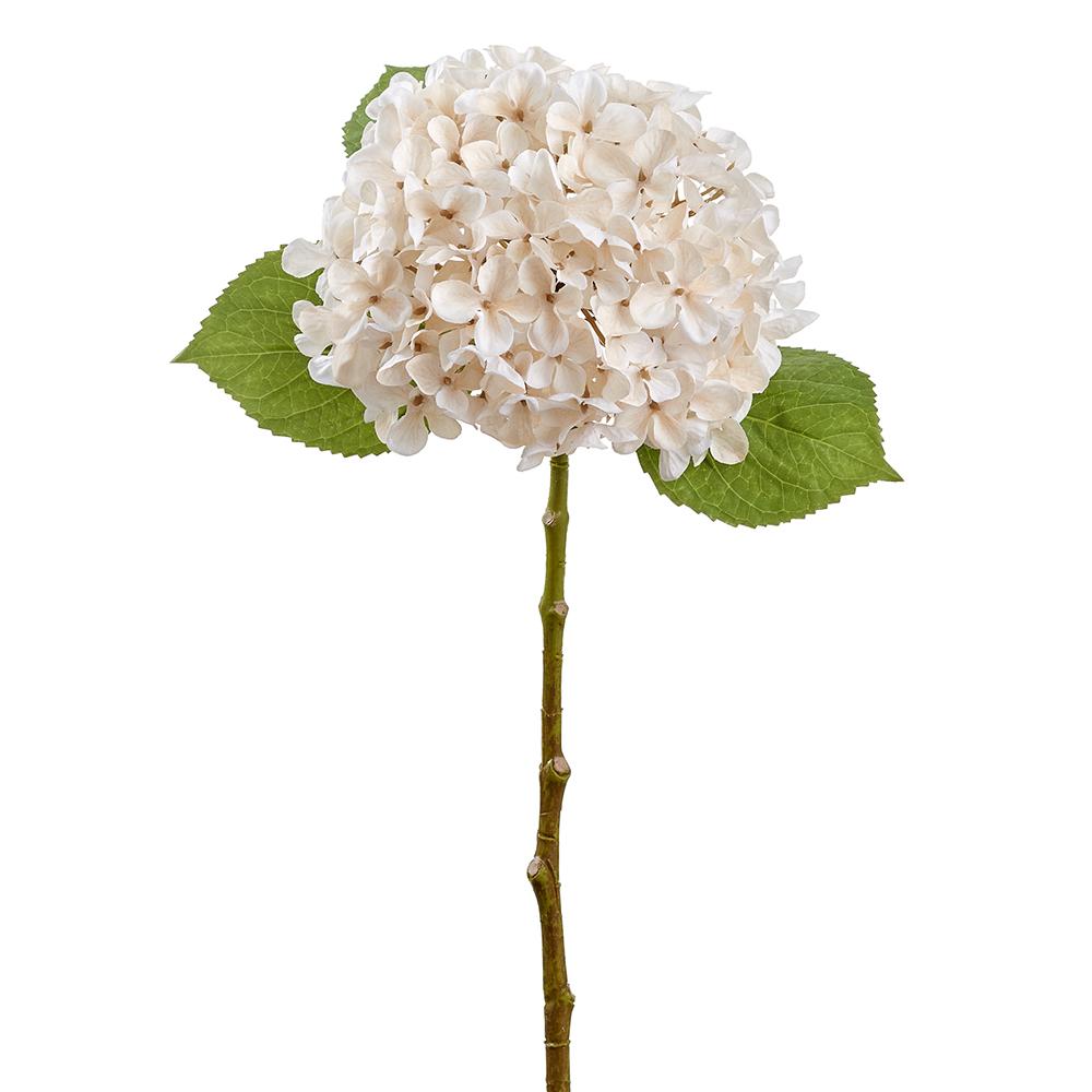 17.7" Hydrangea Spray, Cream/Ivory