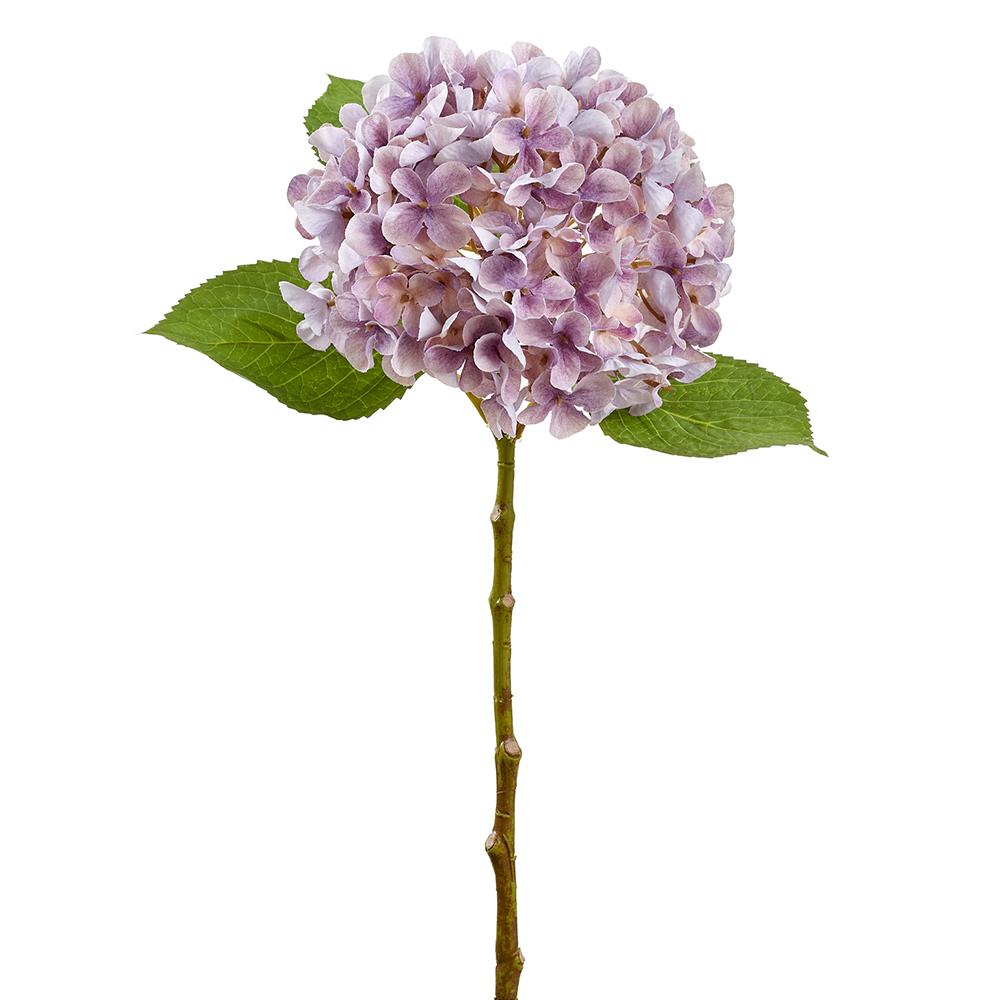 Cpray Hydrangea 18" Lavender
