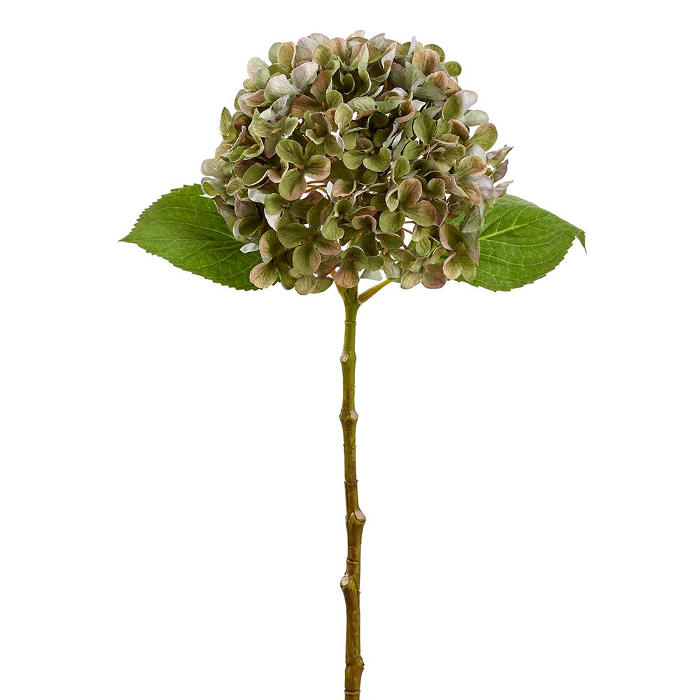 18" Olive Green Hydrangea Spray