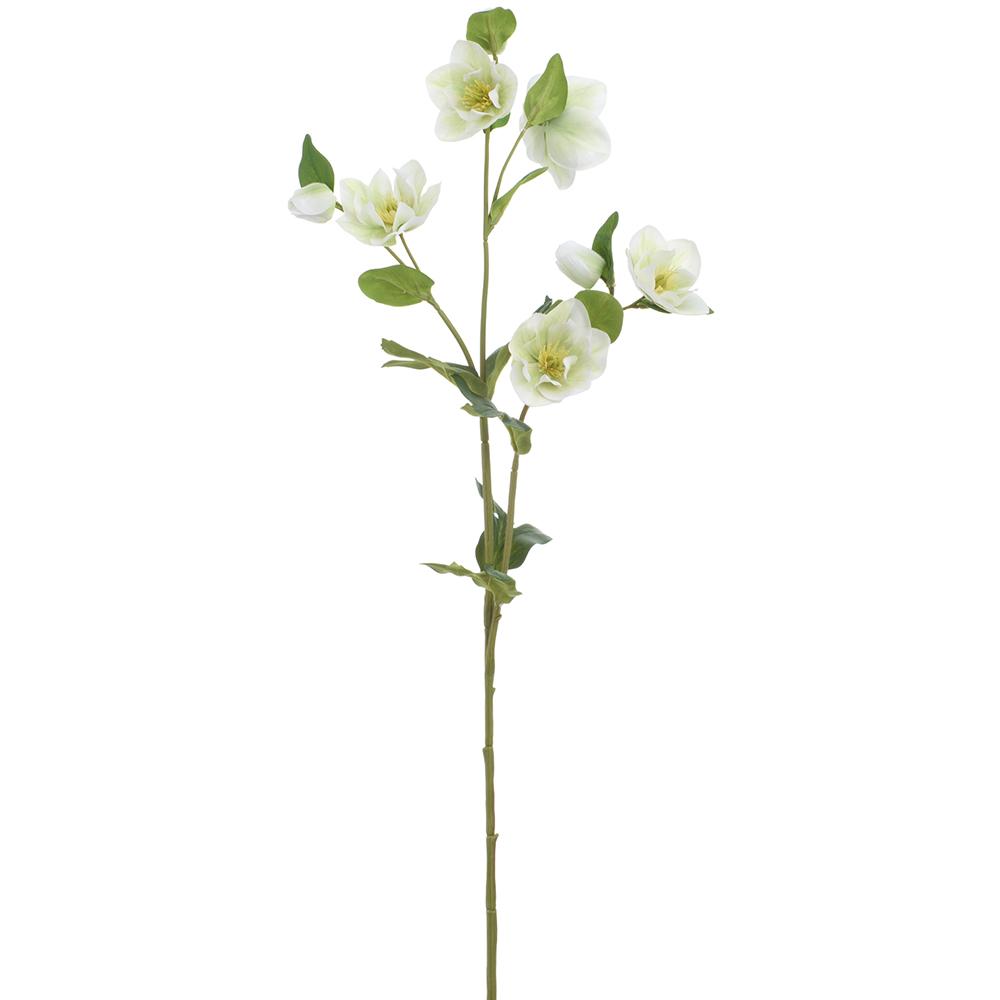 31" Cream/Green Helleborus Spray