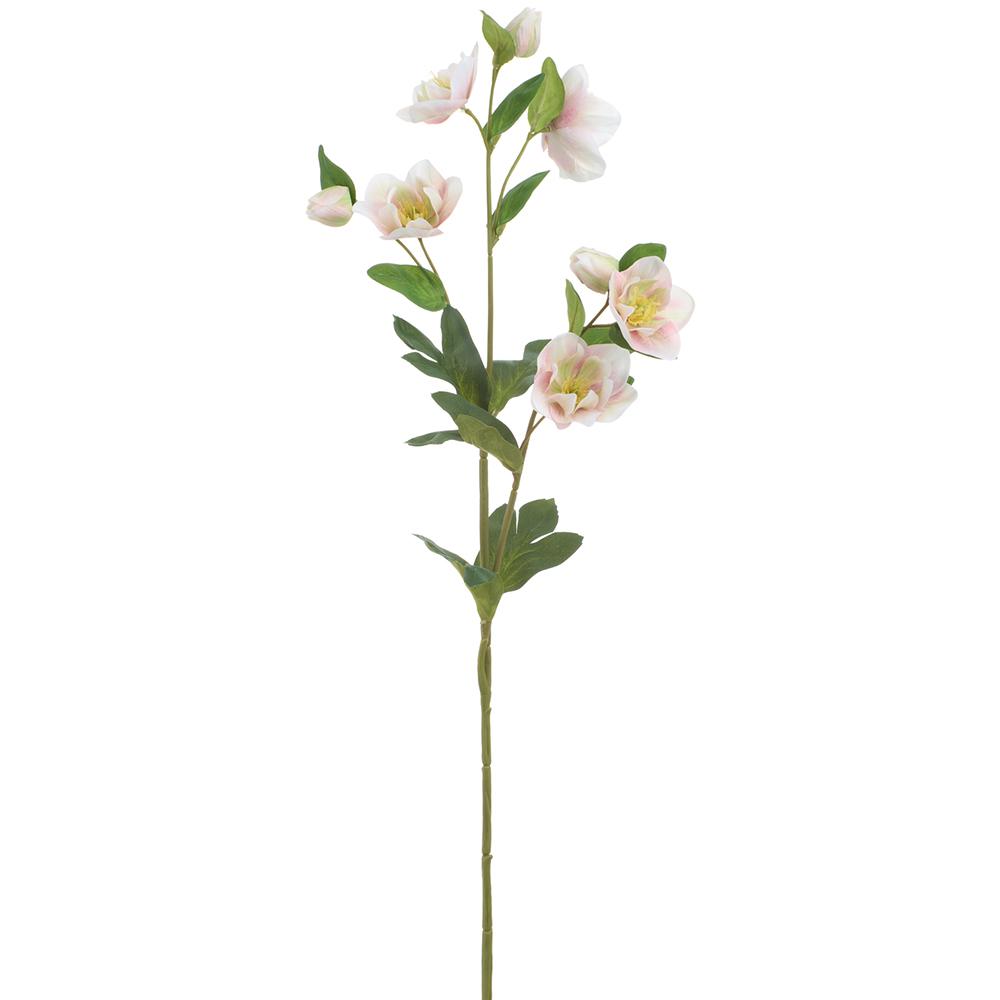 Spray Helleborus 31" Pink/Green