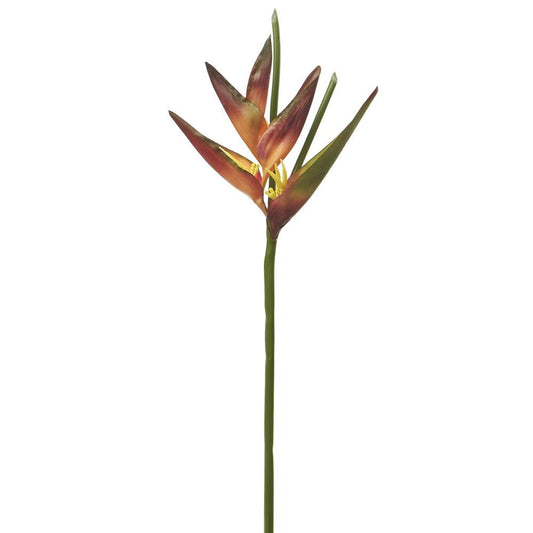 38" Eggplant Green Heliconia Spray