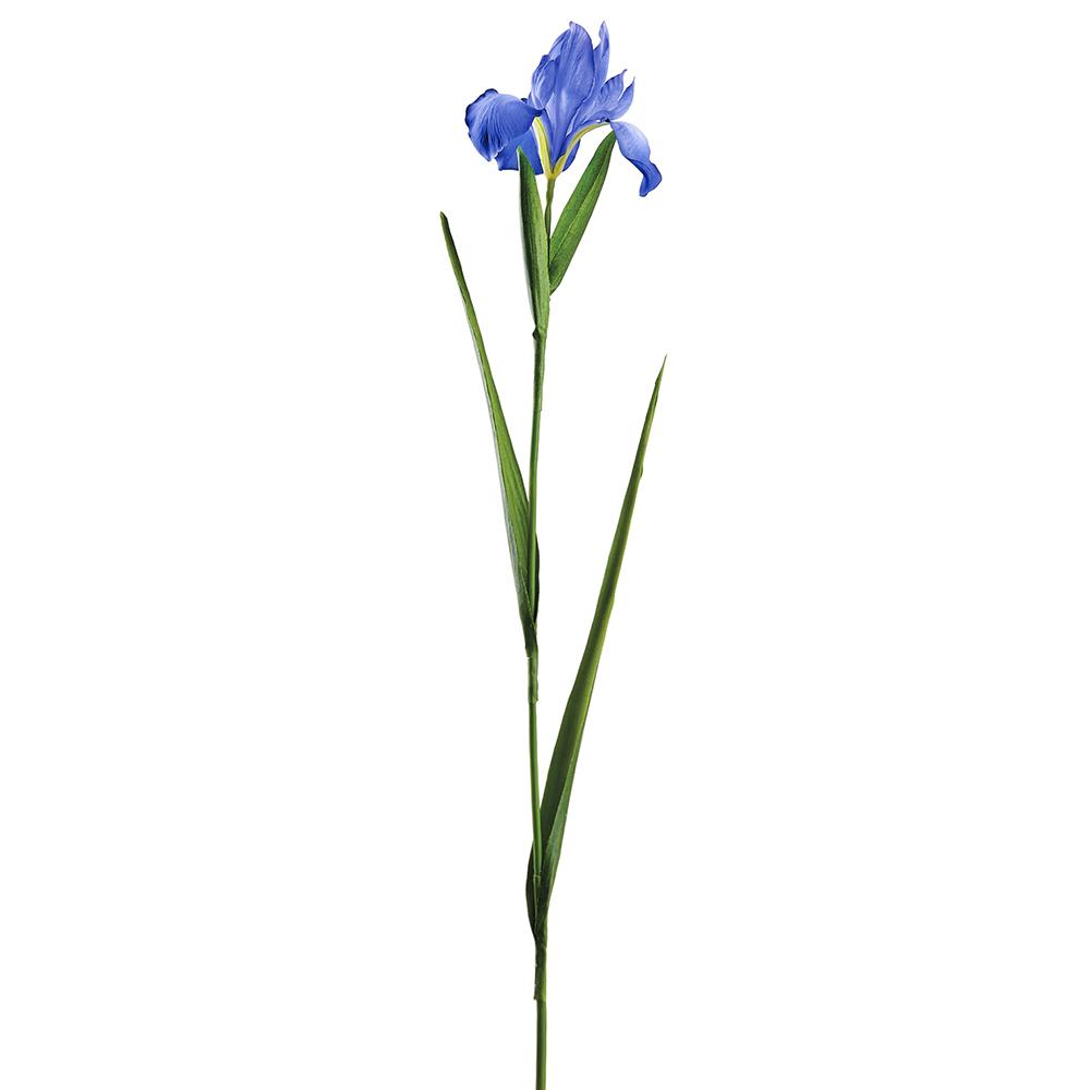 30" Helio Iris Spray